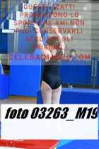 03263_M19-