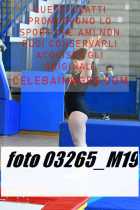 03265_M19-