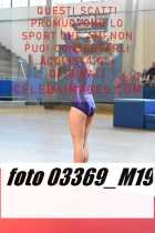 03369_M19-