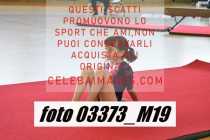 03373_M19-