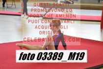 03389_M19-