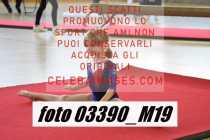 03390_M19-