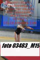 03483_M19-