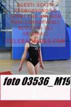 03536_M19-