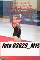 03629_M19-