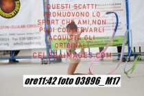 03896_M17