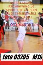 03795_M19-