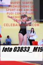 03833_M19-