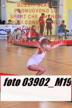 03902_M19-