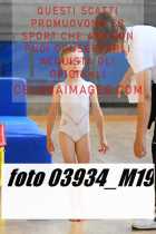 03934_M19-