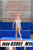 03951_M19-