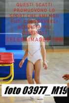 03977_M19-
