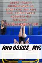 03993_M19-