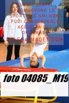 04085_M19-