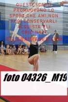 04326_M19-