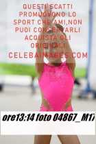 04867_M17-