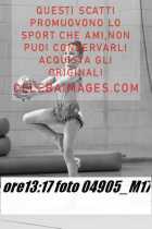 04905_M17-