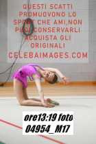 04954_M17-