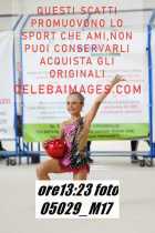 05029_M17-