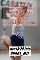 05043_M17-