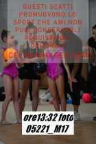 05221_M17-