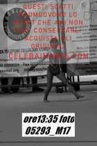 05293_M17-