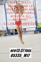 05335_M17-