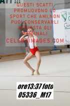 05336_M17-