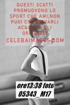 05343_M17-