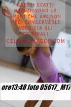 05617_M17-