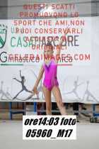 05960_M17-