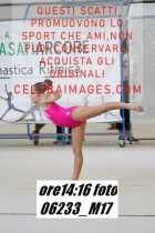 06233_M17-