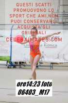 06403_M17-