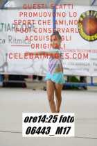 06443_M17-