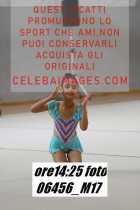 06456_M17-