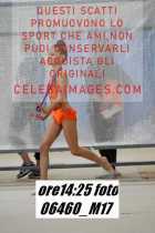 06460_M17-