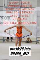 06480_M17-
