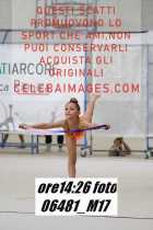 06481_M17-