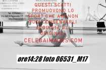 06531_M17-