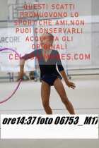 06753_M17-