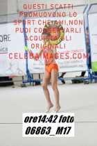 06863_M17-