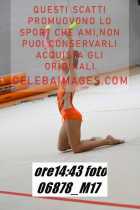 06878_M17-
