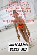 06885_M17-