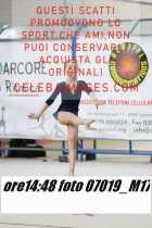 07019_M17-