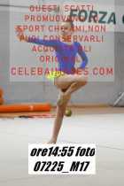 07225_M17-