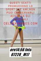 07228_M17-