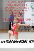 07391_M17-