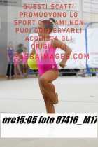 07416_M17-