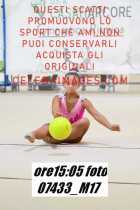 07433_M17-