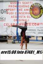 07481_M17-
